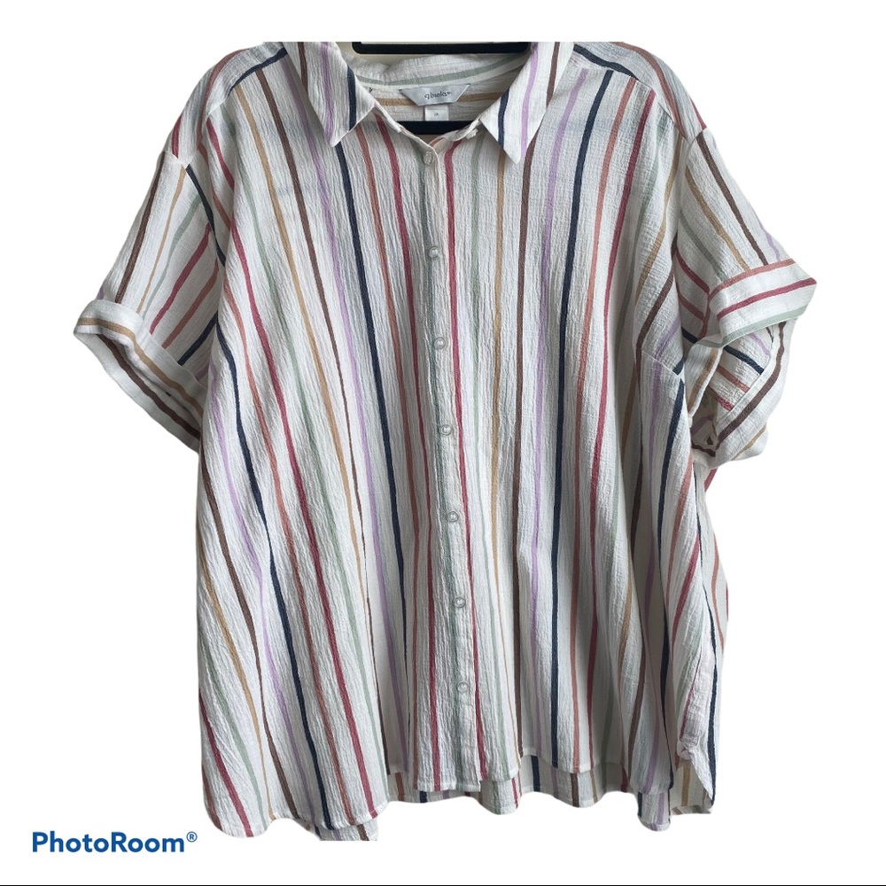 Christopher Banks Plus size 3x shirt